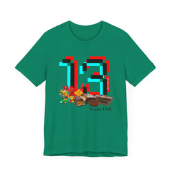 13 Year Old Birthday Adult Unisex Tee