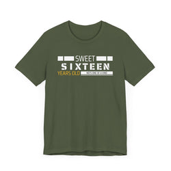 Sixteen year old Unisex Adult Tee