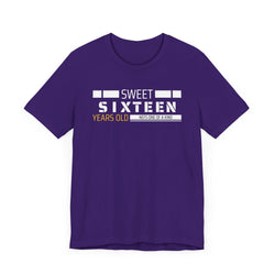 Sixteen year old Unisex Adult Tee