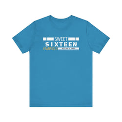 Sixteen year old Unisex Adult Tee