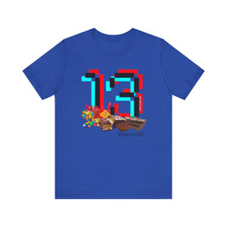 13 Year Old Birthday Adult Unisex Tee