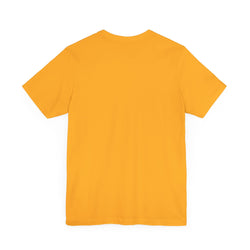 13 Year Old Birthday Adult Unisex Tee