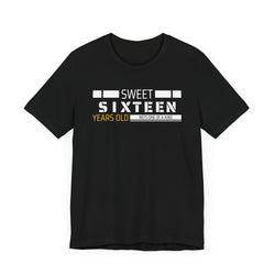 Sixteen year old Unisex Adult Tee