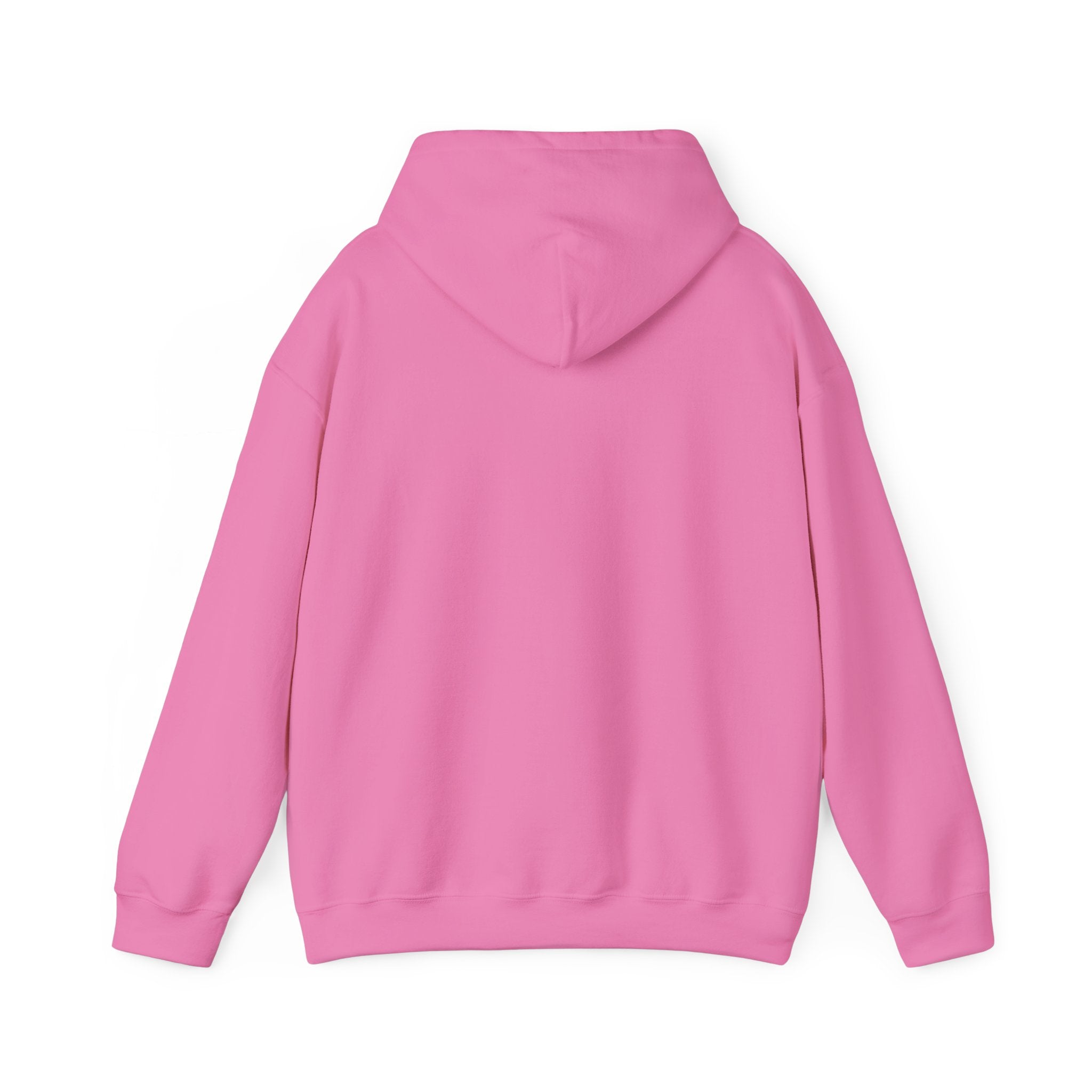 Pisces Zodiac Casual Unisex Heavy Blend Hooded Sweatshirt