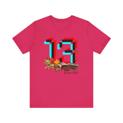 13 Year Old Birthday Adult Unisex Tee