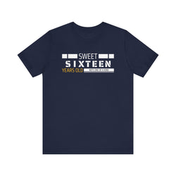 Sixteen year old Unisex Adult Tee