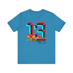 13 Year Old Birthday Adult Unisex Tee