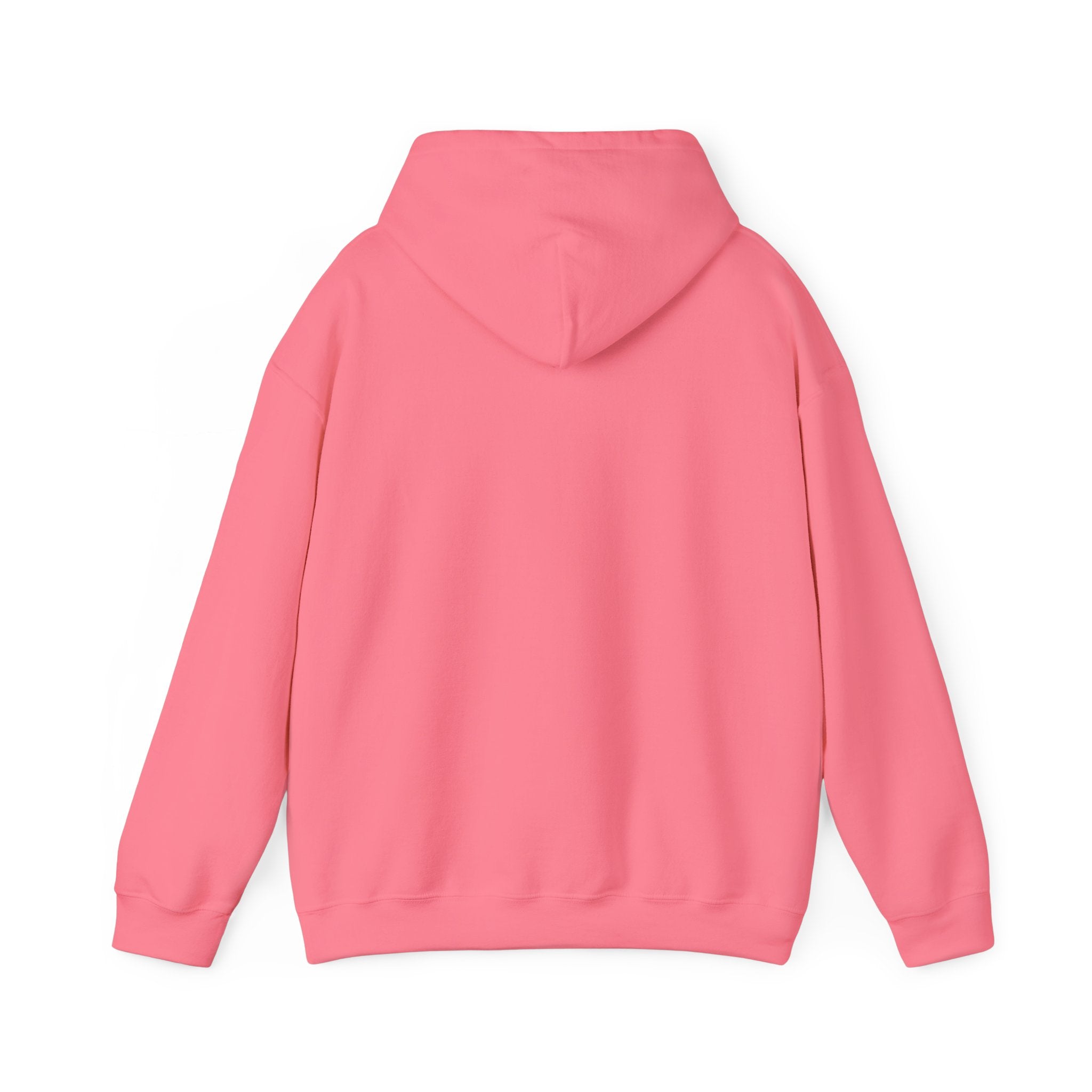 Hoodie Sweatshirt - Unisex Heavy Blend™