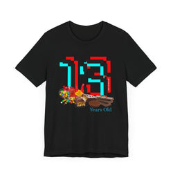 13 Year Old Birthday Adult Unisex Tee