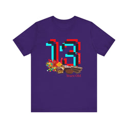 13 Year Old Birthday Adult Unisex Tee