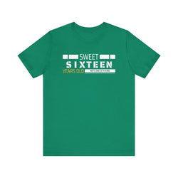 Sixteen year old Unisex Adult Tee