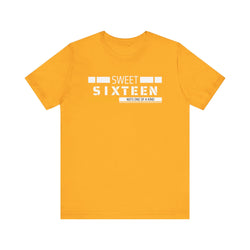 Sixteen year old Unisex Adult Tee