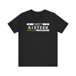 Sixteen year old Unisex Adult Tee