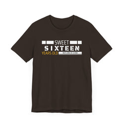 Sixteen year old Unisex Adult Tee