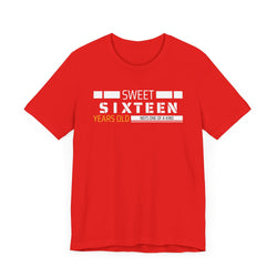 Sixteen year old Unisex Adult Tee