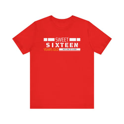 Sixteen year old Unisex Adult Tee