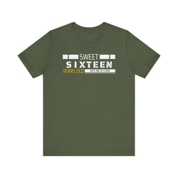 Sixteen year old Unisex Adult Tee