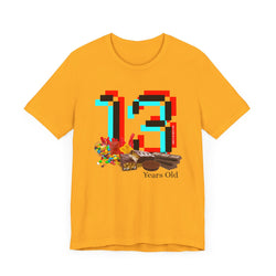 13 Year Old Birthday Adult Unisex Tee