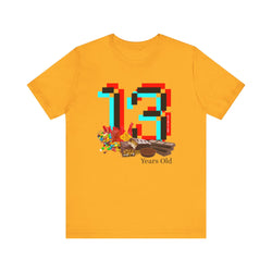 13 Year Old Birthday Adult Unisex Tee