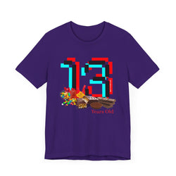 13 Year Old Birthday Adult Unisex Tee