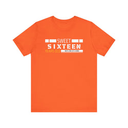 Sixteen year old Unisex Adult Tee