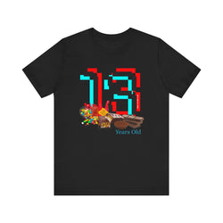 13 Year Old Birthday Adult Unisex Tee