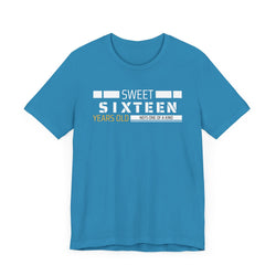 Sixteen year old Unisex Adult Tee