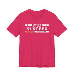 Sixteen year old Unisex Adult Tee