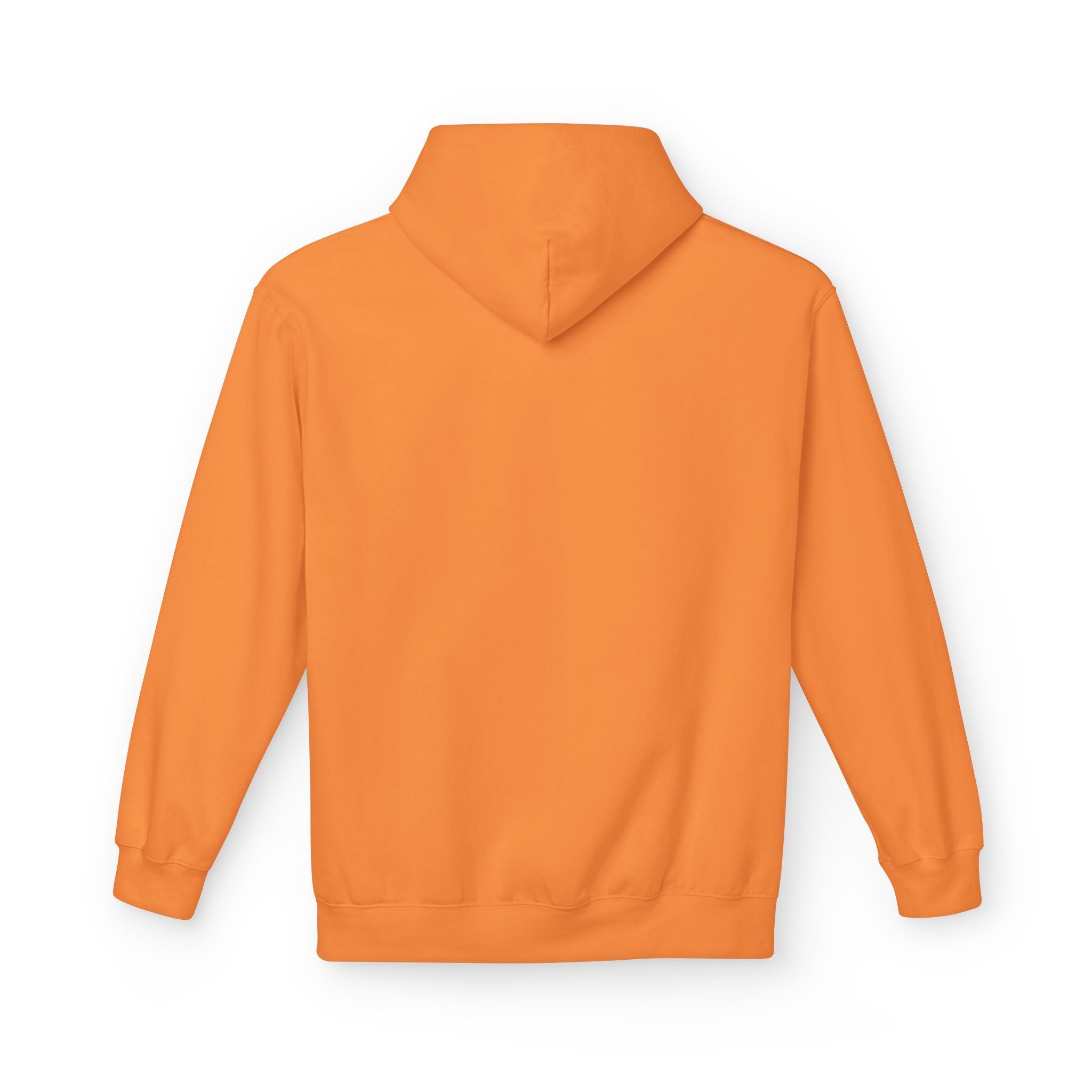 Aries Ram Zodiac Hoodie — Astrological Sign Graphic Pullover