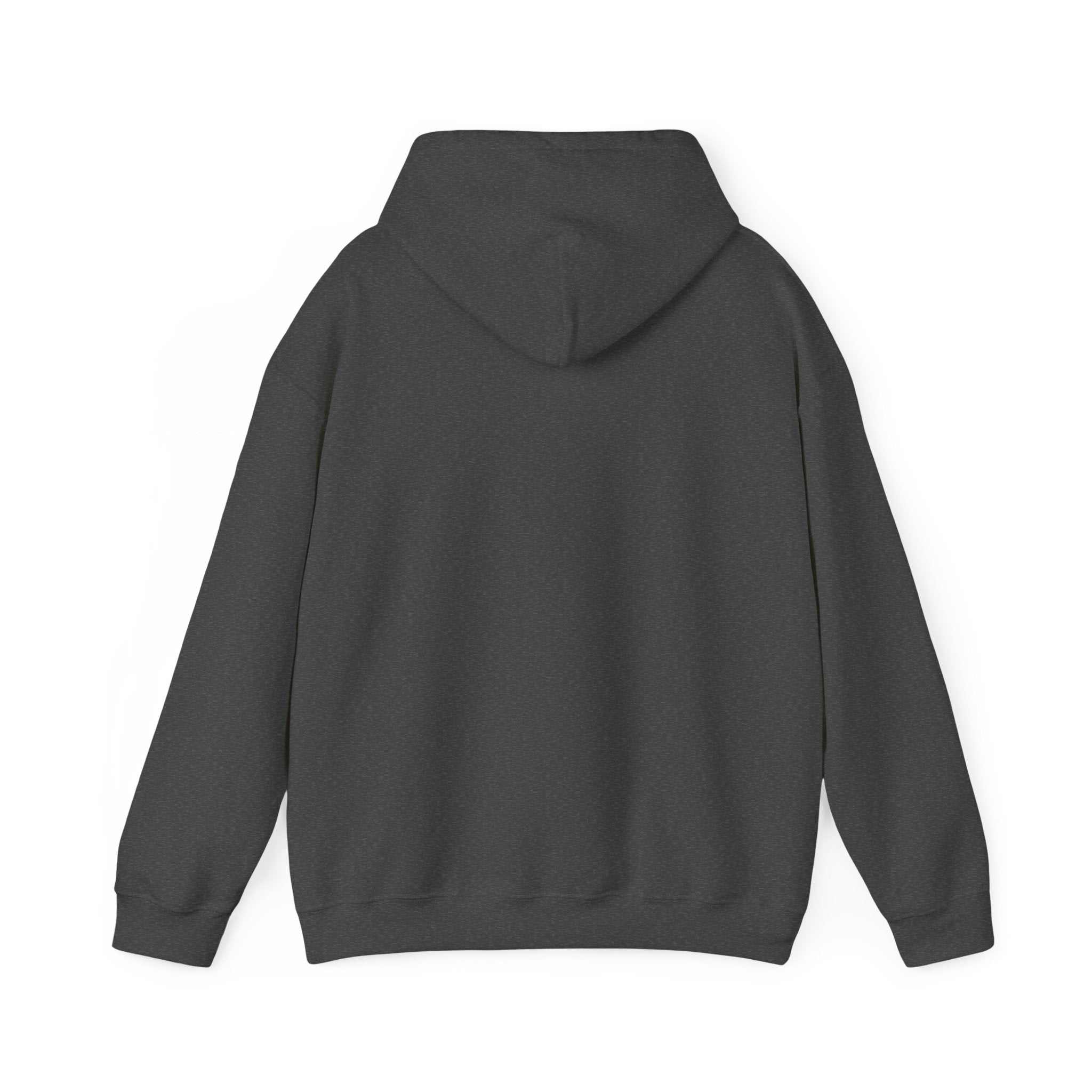 Black IDC logo hoodie with kangaroo pocket and matching drawstring, unisex heavy blend cotton-polyester sweatshirt