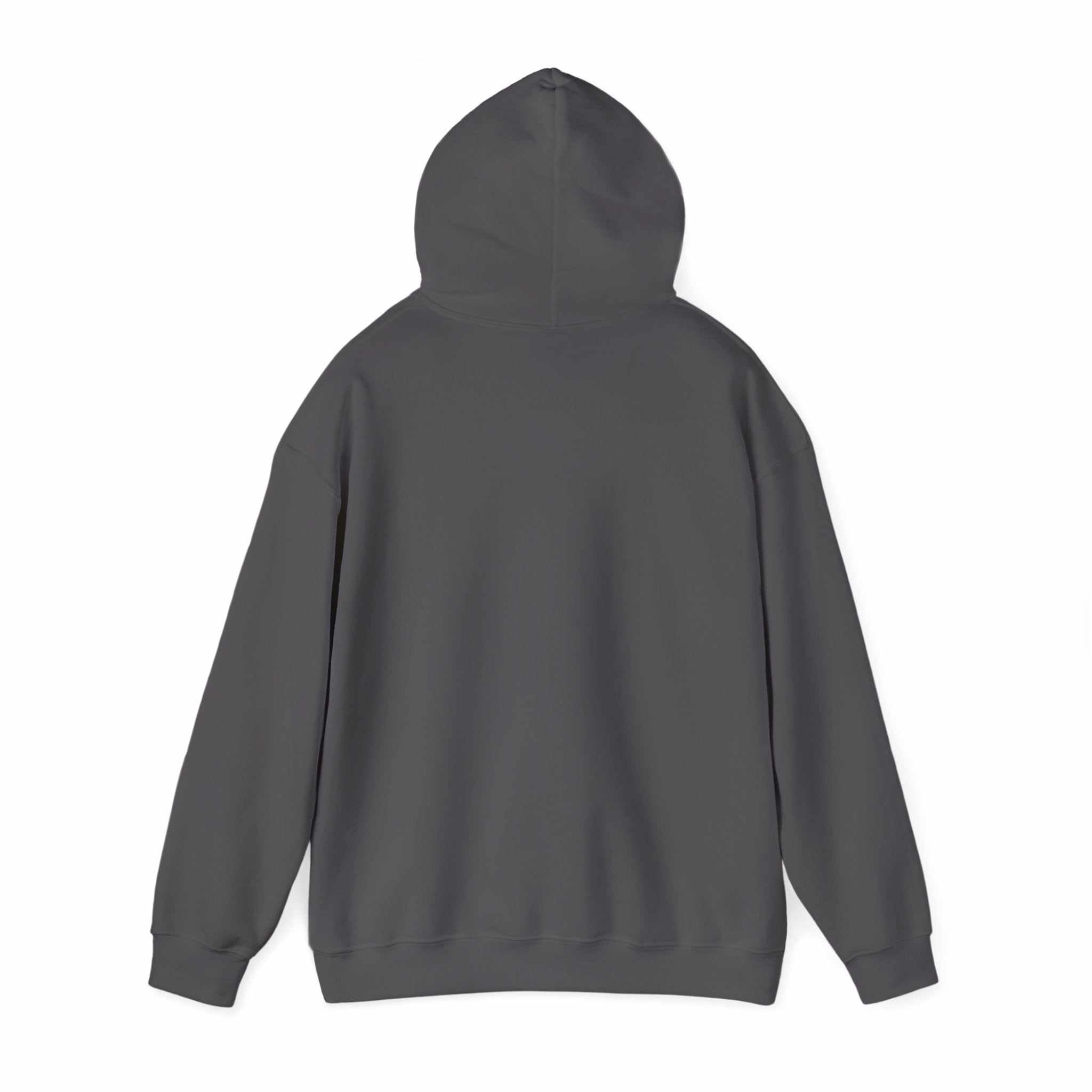 IDC Logo Hoodie in black heavy blend cotton-polyester with kangaroo pocket and matching drawstring