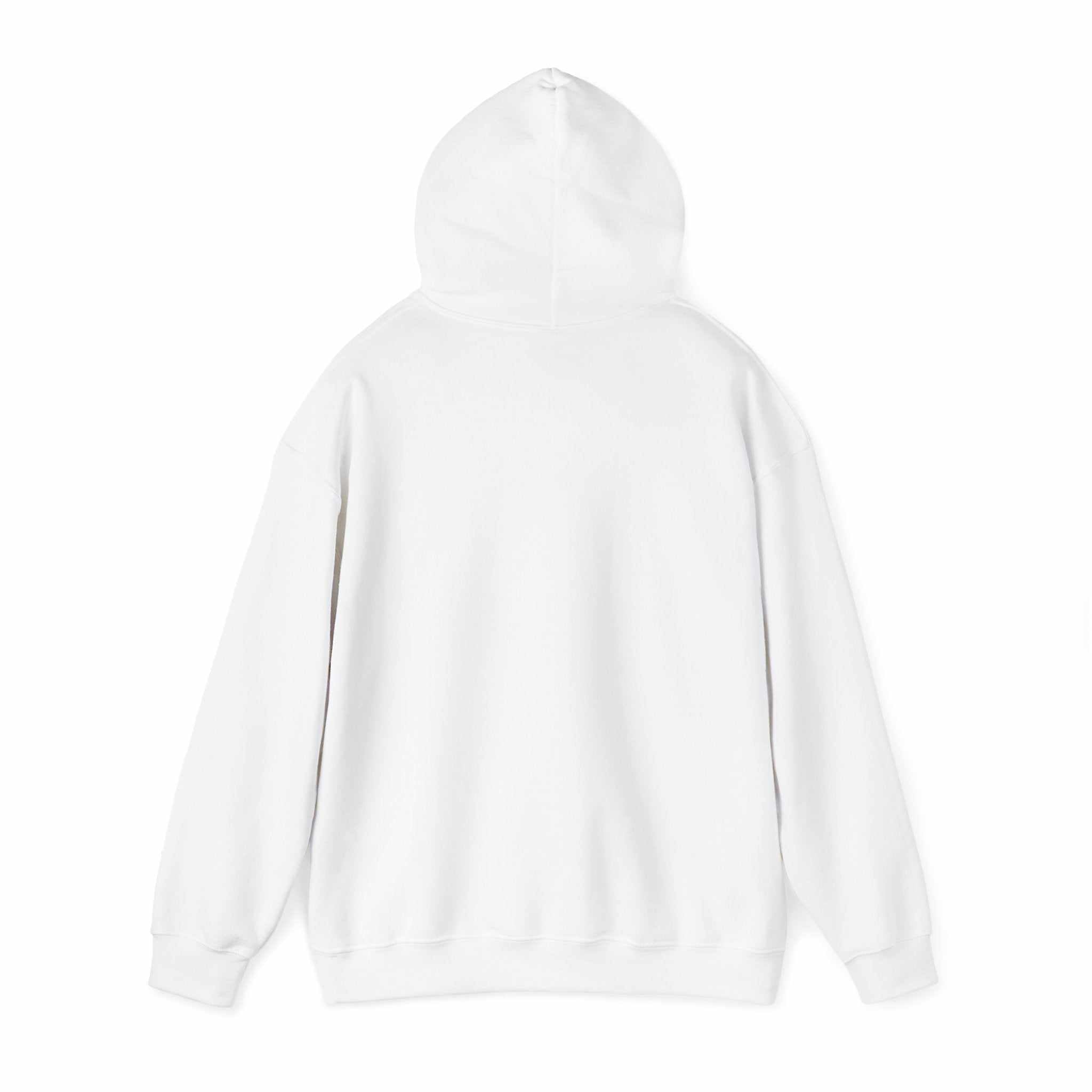 Black IDC logo hoodie with kangaroo pocket and matching drawstring, unisex heavy blend sweatshirt for warmth and comfort