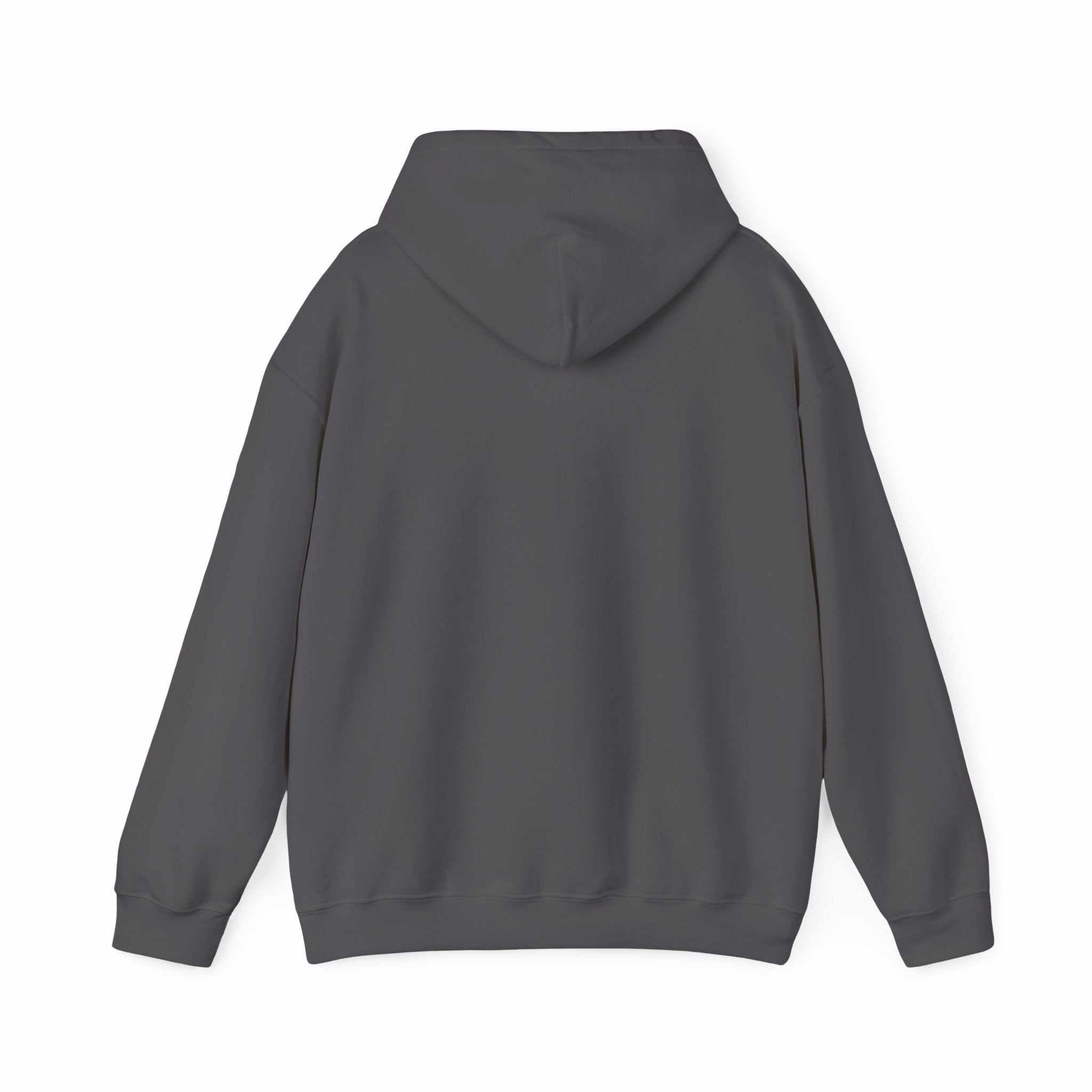 IDC logo hoodie in black with drawstring hood and kangaroo pocket, unisex heavy blend sweatshirt for bold fashion statement
