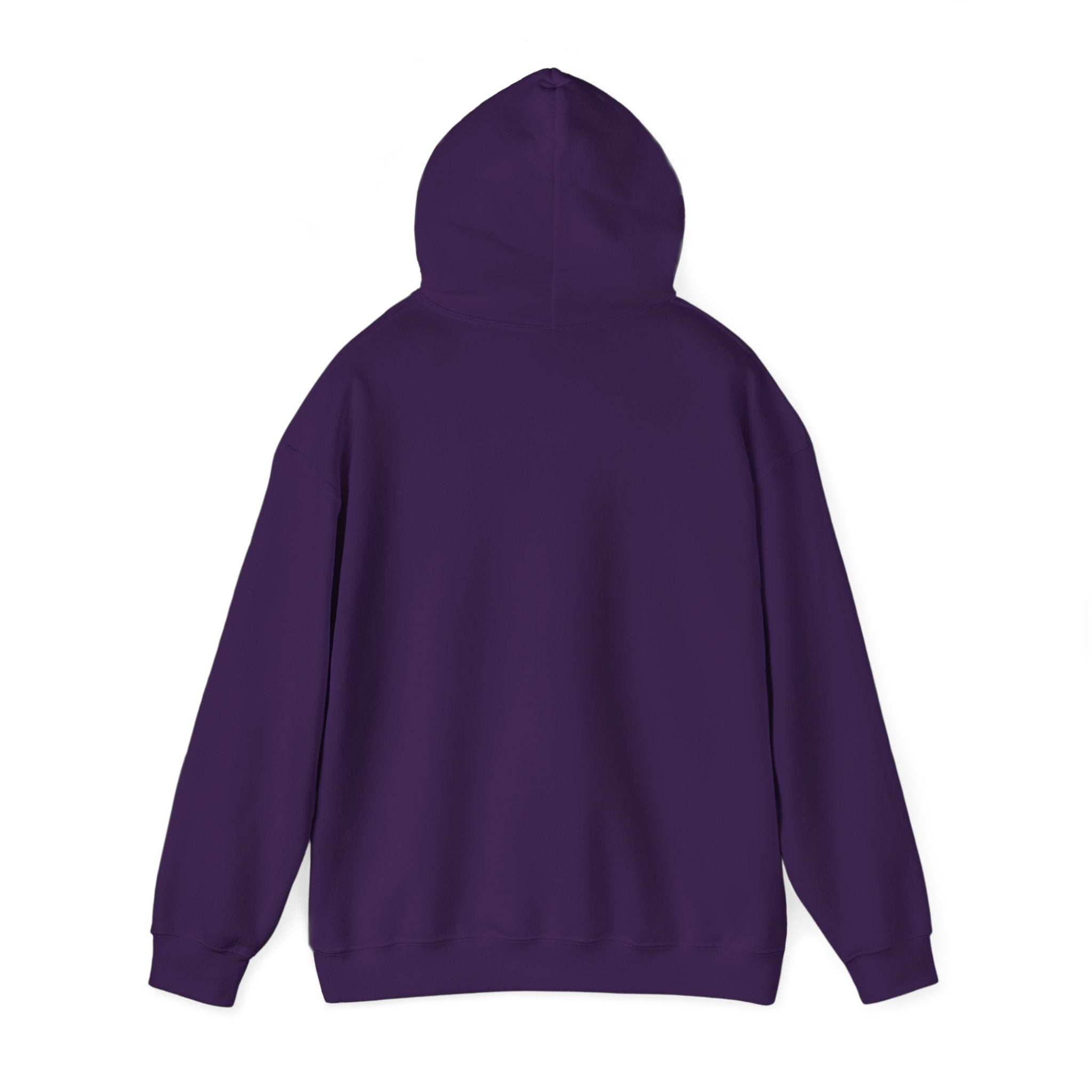 Pisces Zodiac Casual Unisex Heavy Blend Hooded SweatshirtHoodiePisces Zodiac Casual Unisex Heavy Blend Hooded Sweatshirt