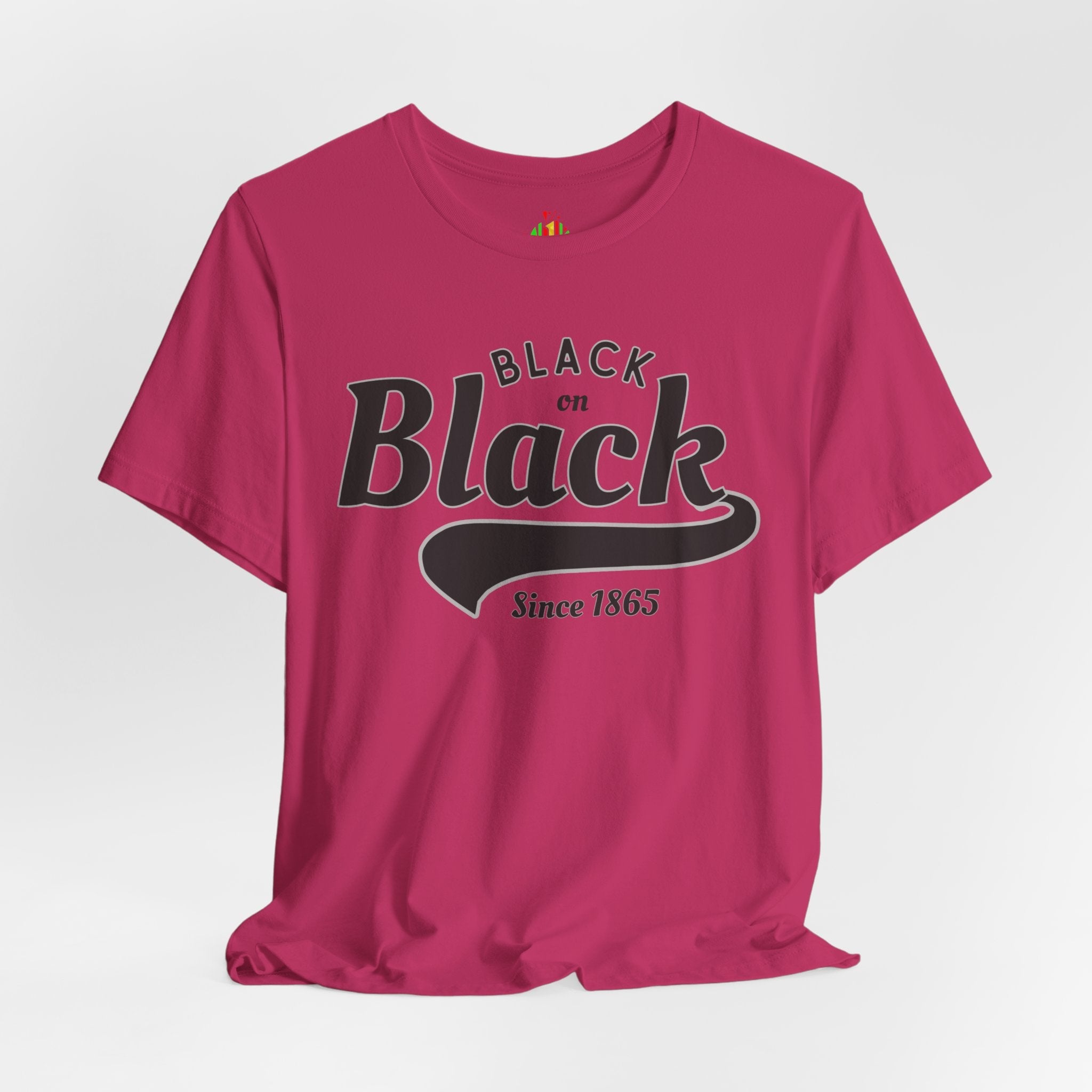 Vintage Style Unisex Jersey Tee - Black Since 1865, Retro T-Shirt, Casual Wear, Gift Idea, Everyday Fashion